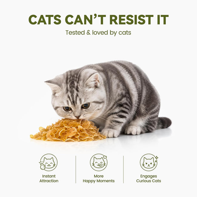 Chicken & Catnip Soft Cat Treats for Picky Cats, Ultra-Thin Easy-Chew Slices, Breakable No-Mess Cat Training & Playtime Rewards, 3.2 oz Main Image