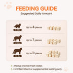 Freeze Dried Chicken Cat Treats, Single Ingredient Chicken Breast Cat Snacks, High Protein Grain-Free Food Topper for Picky Cats, 9 oz