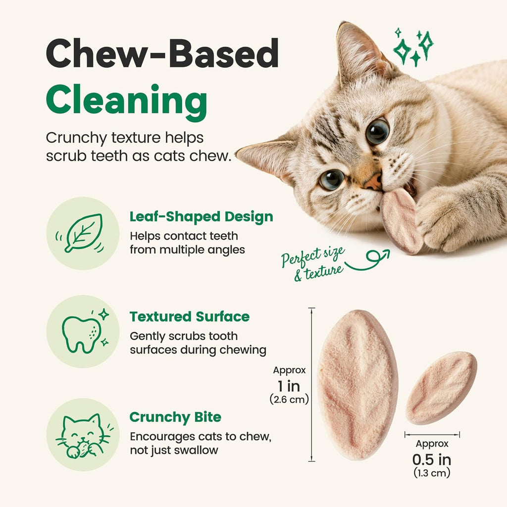 Freeze Dried Dental Cat Treats, Chicken First Crunchy Bites for Teeth Cleaning & Fresh Breath Support, Daily Oral Care Treats with FOS & Fish Oil for Cats