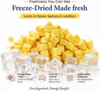 Freeze-Dried Cat Treats|Egg Yolk with Salmon Oil|Dual-Action Skin & Coat Support |Premium Food Toppers & Snacks for Cats, 3.5 oz