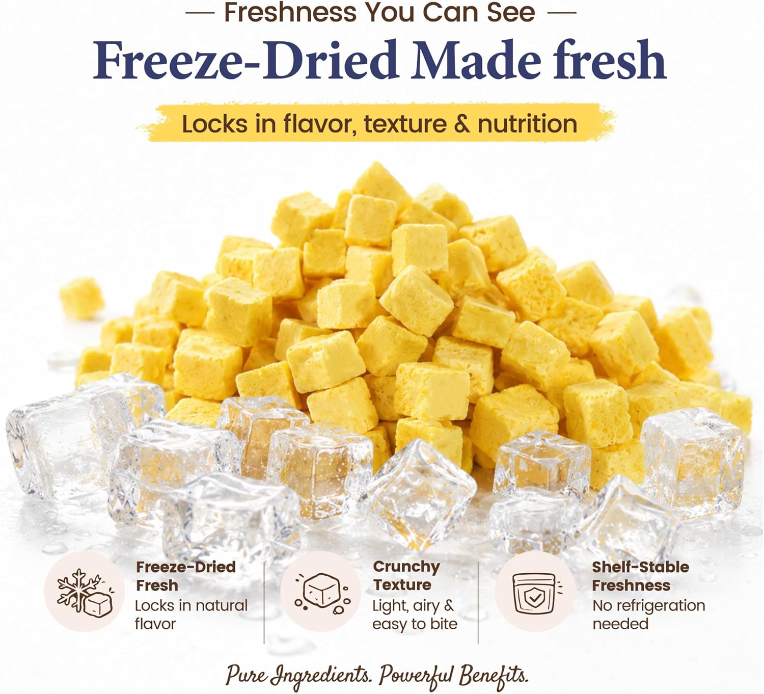 Freeze-Dried Cat Treats|Egg Yolk with Salmon Oil|Dual-Action Skin & Coat Support |Premium Food Toppers & Snacks for Cats, 3.5 oz