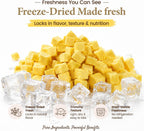 Freeze-Dried Cat Treats|Egg Yolk & Taurine for Cats Heart Vision Coat Overall Wellness|Healthy Food Toppers for Cats, 3.5 oz