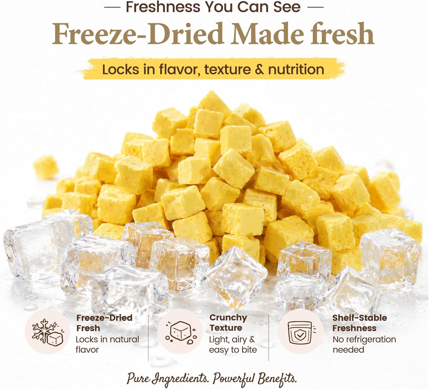 Freeze-Dried Cat Treats|Egg Yolk & Taurine for Cats Heart Vision Coat Overall Wellness|Healthy Food Toppers for Cats, 3.5 oz
